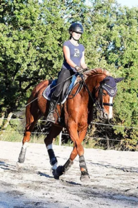 Un travail adapté à chaque cheval​, on l'entend tout le temps mais pourquoi ?