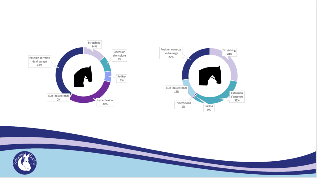 Hyperflexion chez le cheval : résultats