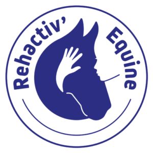Rehactivequine logo