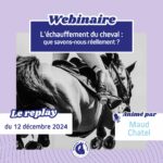 Echauffer son cheval : webinaire