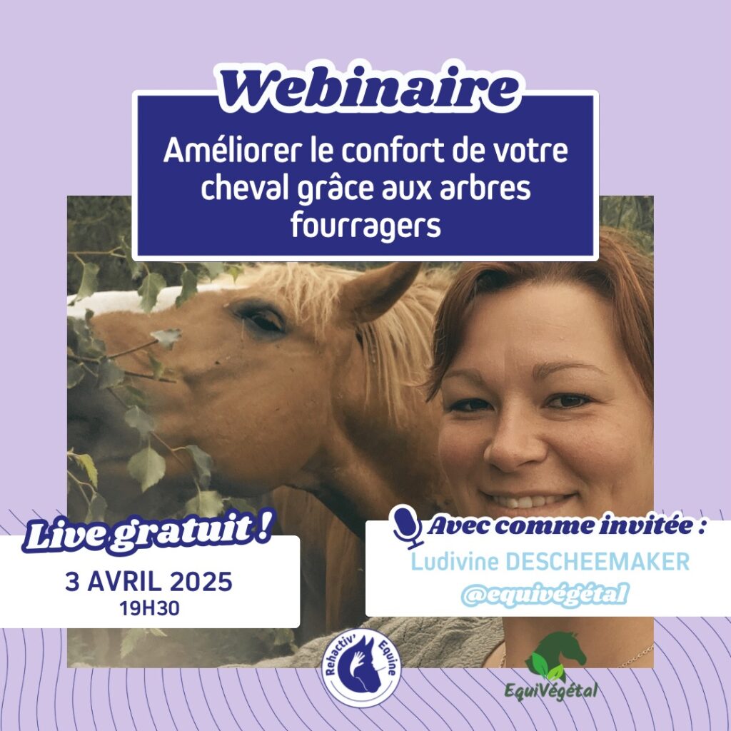 Webinaire equivegetal