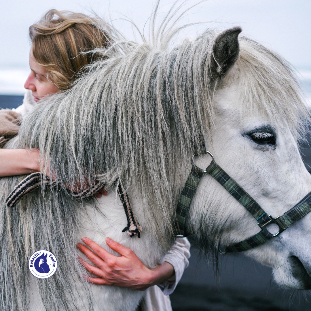 Cheval convalescent